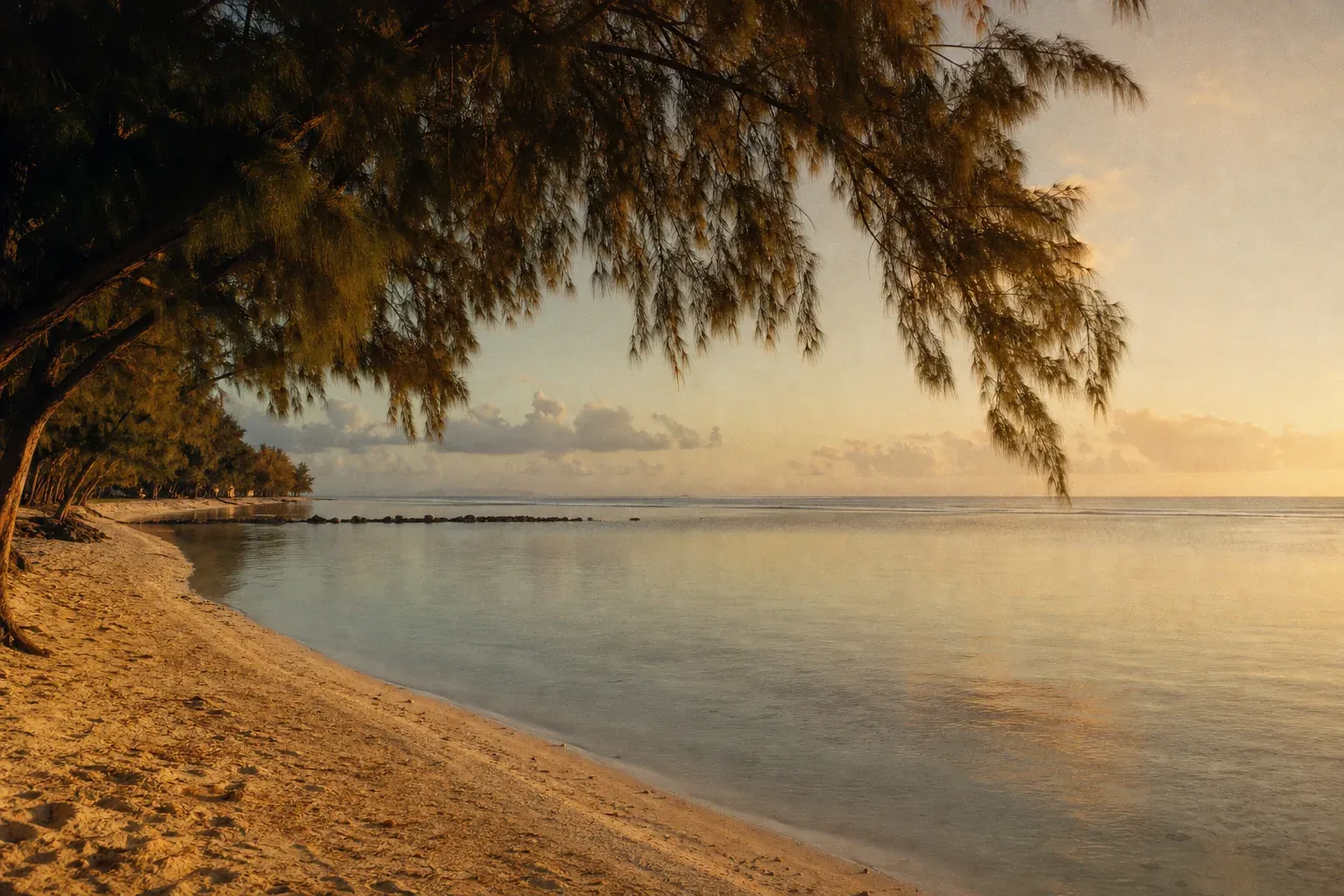 Trou aux Biches : la meilleure plage snorkeling accessible du nord